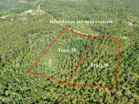 Adjoining Wooded Recreational Acreage