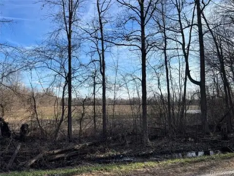 Vacant Land in Mayfield Township
