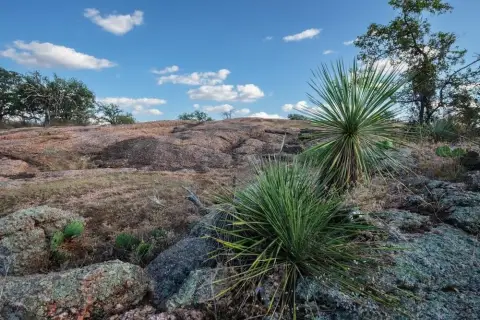 170 Acres Farm and Ranch Land