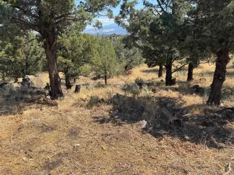 Land with Expansive Views