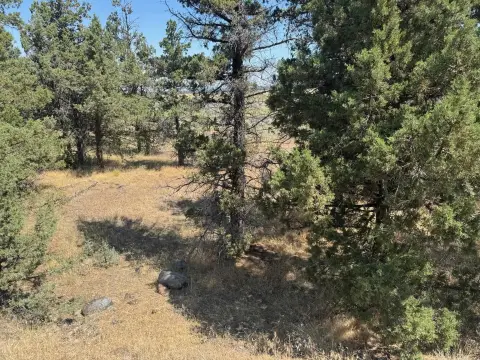 Secluded Lot with Mountain Views