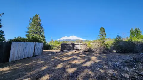 Forested Mountain Acreage with Gated Driveway