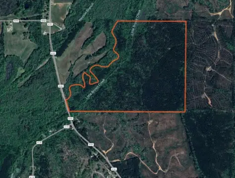 160 Acres Recreational and Hunting Land