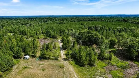 Hunting Land with Planted Pines