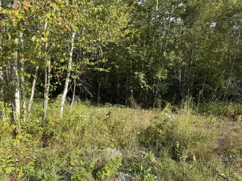 Two Adjacent Residential Lots