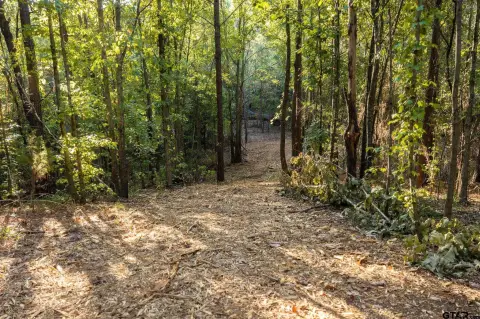 Recreation Land with Trails