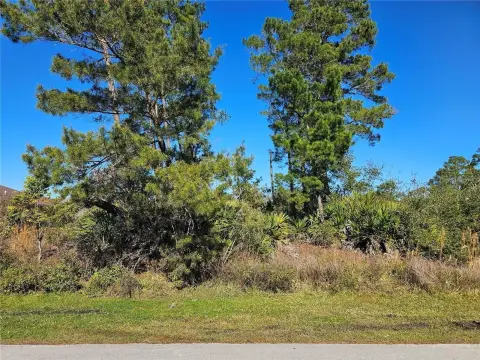 Vacant Lot in Palm Coast