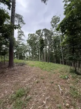 Residential Land Parcel Near Beaver Lake