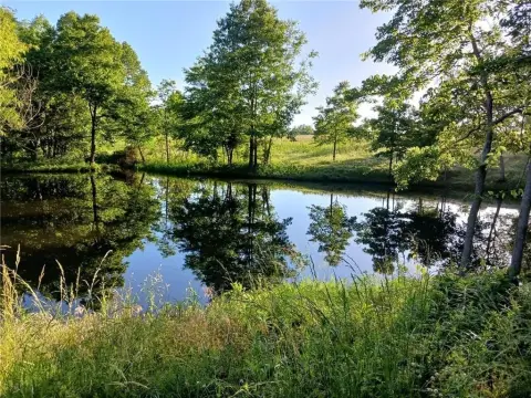 Organic Farm with Spring-Fed Pond