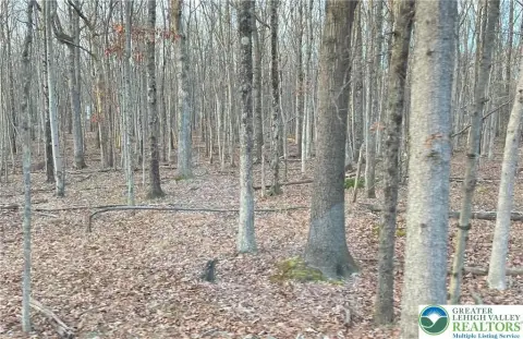 Vacant Land in Mt. Pocahontas