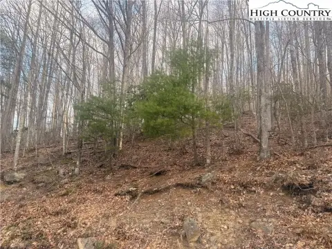 Homesite on Beech Mountain