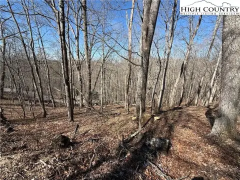 Piney Creek Building Lot