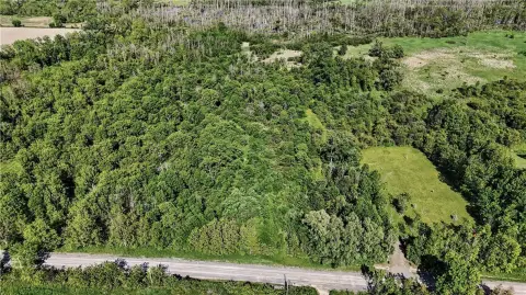 Wooded Residential Building Lot