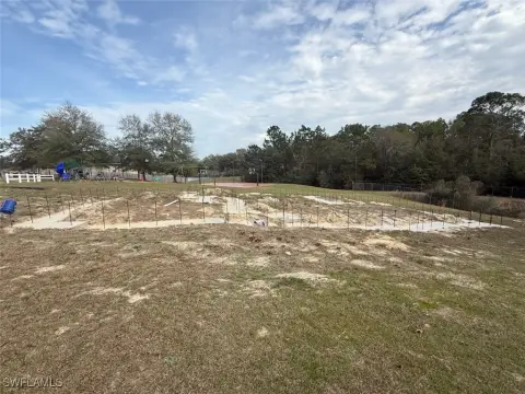 Land on Lake Arthur