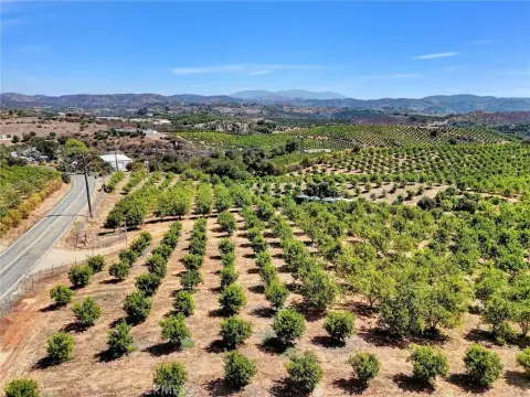 Organic Lemon Grove Farmland