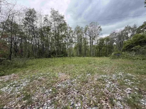 Wooded Land with Development Potential