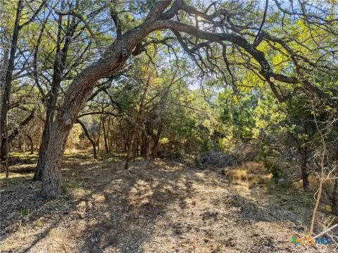 Residential Land in Canyon Lake