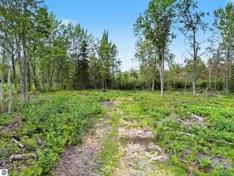 Hunting Land with Hardwood Forest