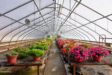 Wholesale Greenhouse Operation