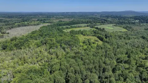 Wooded Acreage Land