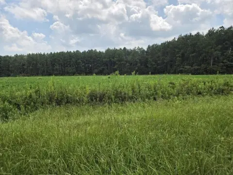 AG-Zoned Agricultural Land