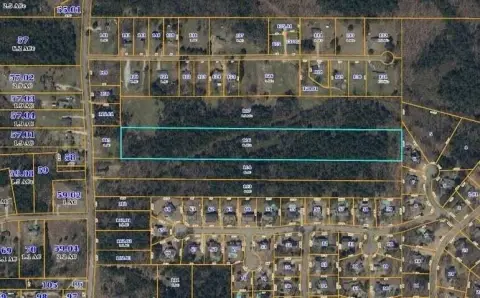 Residential Land in Belden, MS