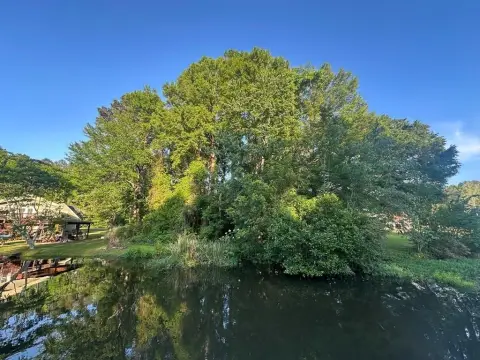 Lake Blackshear Waterfront Acreage