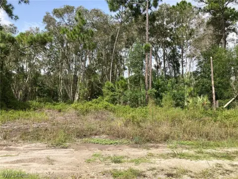 Commercial Land on SR 82