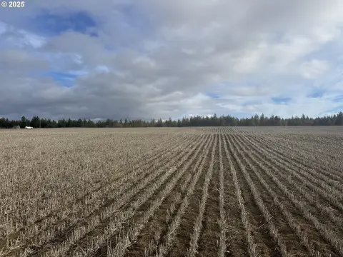 5-Acre Land with Mountain Views