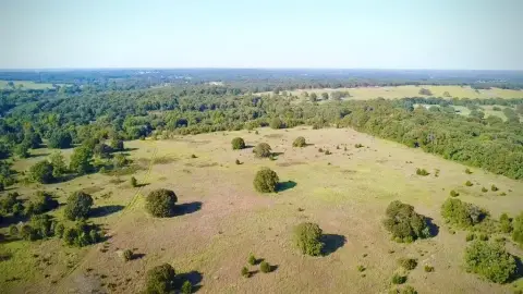 79 Acres Near Seminole