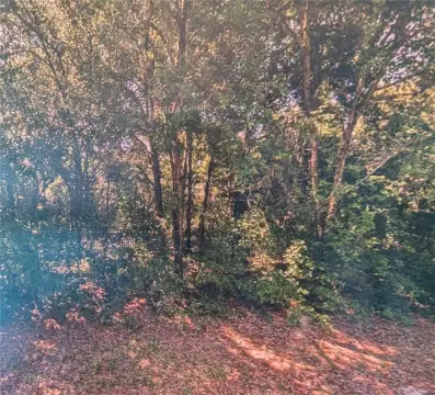 Residential Land in Citrus Springs