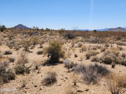 Land in Yucca, Arizona