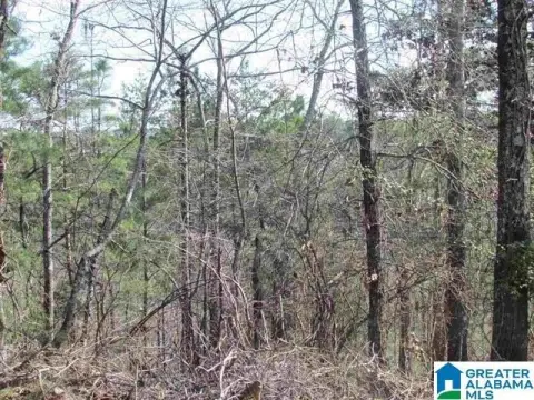 61 Acres in Pell City