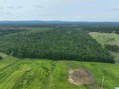 80.51 Acres in Wilsonville, AL