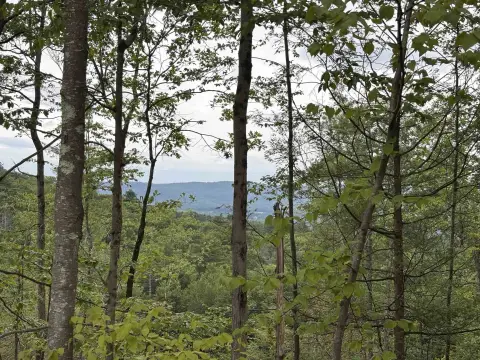 Recreation Land with Proposed Building Site