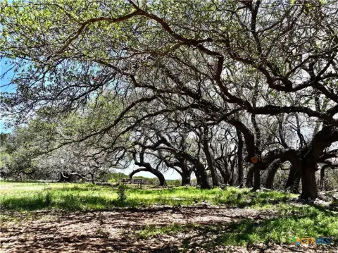Residential Land in Lampasas, TX