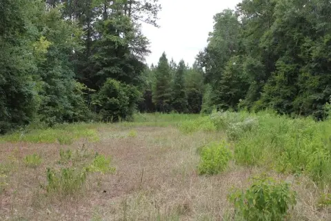 124 Acres of Raw Beauty