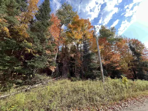 Wooded Land Near Petticoat Lake