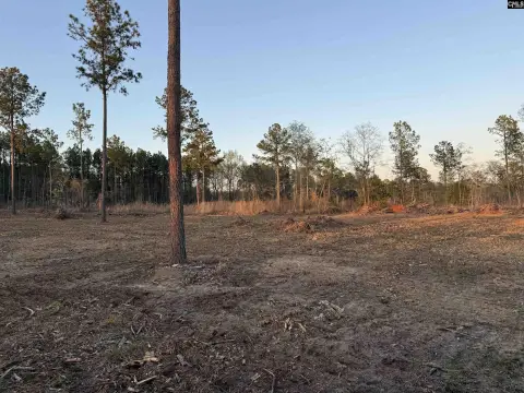 Winnsboro Land for Hunting, Building