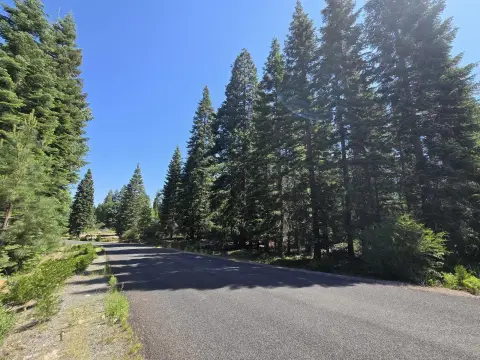 Mt. Shasta Acreage For Sale