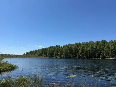 Waterfront Land With Private Lake