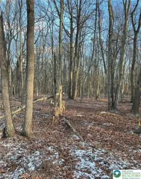 Wooded Lot in Amenity-Rich Community