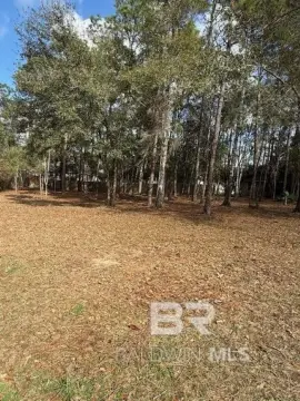Residential Land in Quail Creek