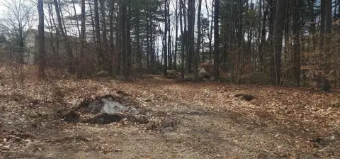 Residential Lot in Pinardville