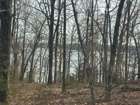 Residential Lot Near Bull Shoals