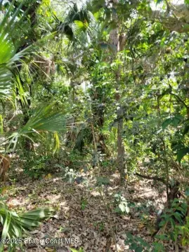 South Beaches Land Opportunity