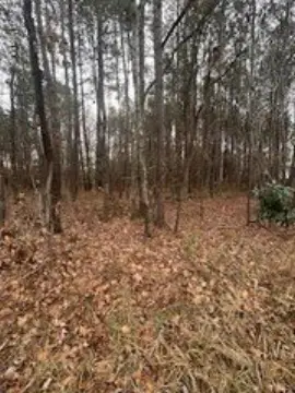 Wooded Land Parcel in Robbins