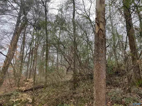 Agricultural Land and Homesite