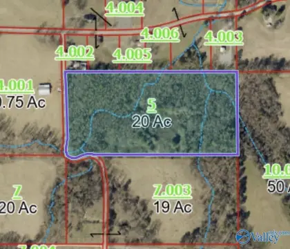 Wooded Recreational Land Tract