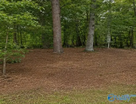 Residential Build-Ready Lot